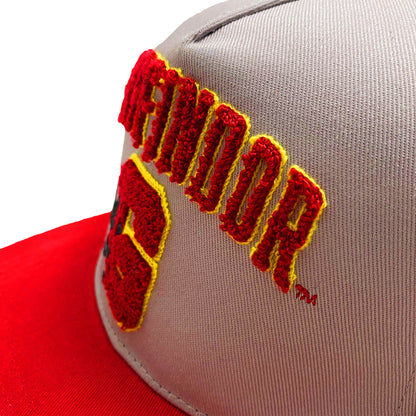 Harry Potter - College Gryffindor Snapback Cap - Unisex Adults